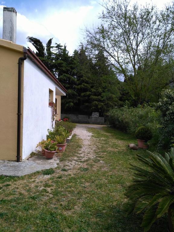 Agriturismo Usurtala Orani Экстерьер фото