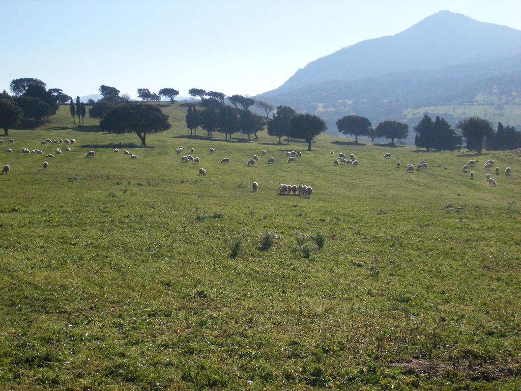 Agriturismo Usurtala Orani Экстерьер фото